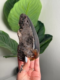 Image 2 of SELF STANDING HALF POLISHED SUMATRAN AMBER FREEFORM -INDONESIA- **UV REACTIVE** B