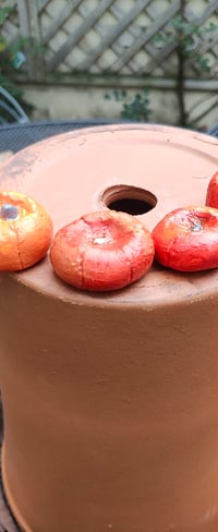 Image 2 of Two Pumpkins