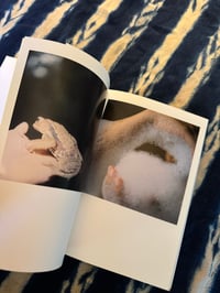 Image 15 of The eyes, the ears- Rinko Kawauchi, 2005