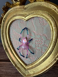 Image 2 of Jewel Spider 