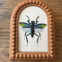 Image 3 of Water colour mantis (a, 4x6 inches)