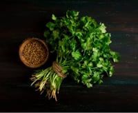 Image 1 of Coriander & Tonka