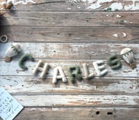 Image 1 of Hot Air Balloon Name Garland - Eucalypt