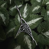 Image 2 of Webbed Twig