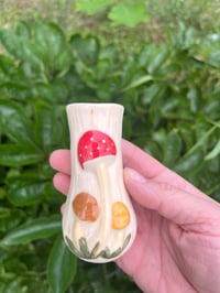 Image 6 of Mushroom Set - Seconds Item