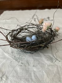 Image 3 of Wire nest with ‘dried blossom’