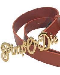 Image 3 of Pimp Or Die Belt 