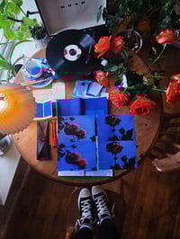 Image 2 of PICK ROSES AT NIGHT II