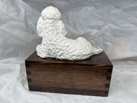 Image 8 of Custom Engraved White Poodle Urn Wings Angel Pet Portrait Cremation Ashes