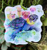 Bog Turtle Sticker