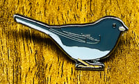 Image 2 of Slate-coloured Junco - No.125 - UK Birding Series