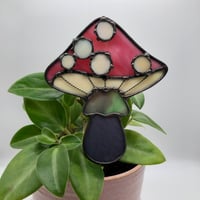 Image 1 of Very Berry Mushroom Plant Buddy 