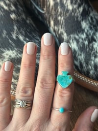 Image 5 of The Sagebrush Spade