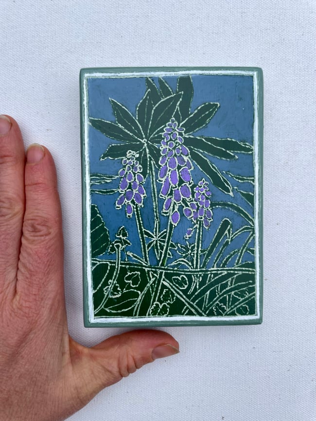 Hyacinth 