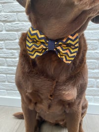 Image 5 of Christmas Gold Chevrons Bow Tie / Sailor Bow