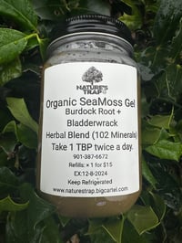 Organic SeaMoss, Burdock Root & Bladderwrack 102 Mineral Gel 16oz