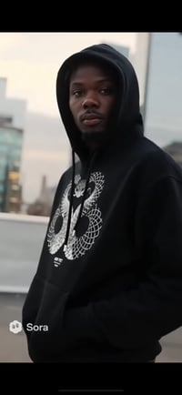 Image 4 of GEMINI SNAKE HOODIE 