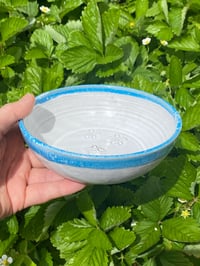Image 2 of Every Day Bowl 'Turtle'