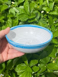 Image 2 of Every Day Bowl 'Turtle' 