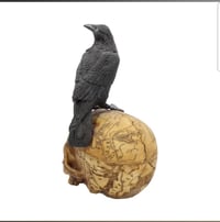 Image 6 of Salems Familiar 27cm