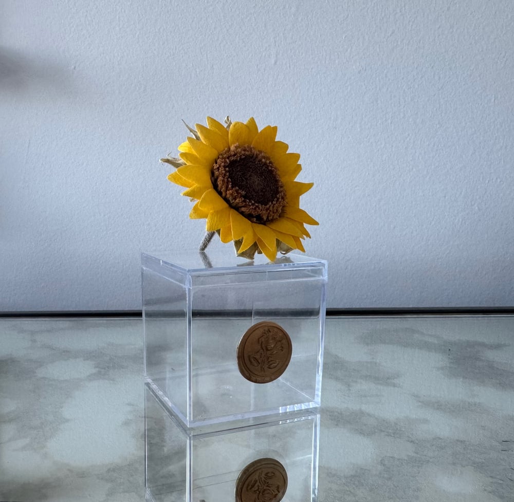 Image of Preserved Sunflower Cube