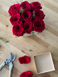 The ‘Mini Box’ Arrangement 