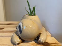 Image 2 of Aloe Vera In Lounging Sloth Pot