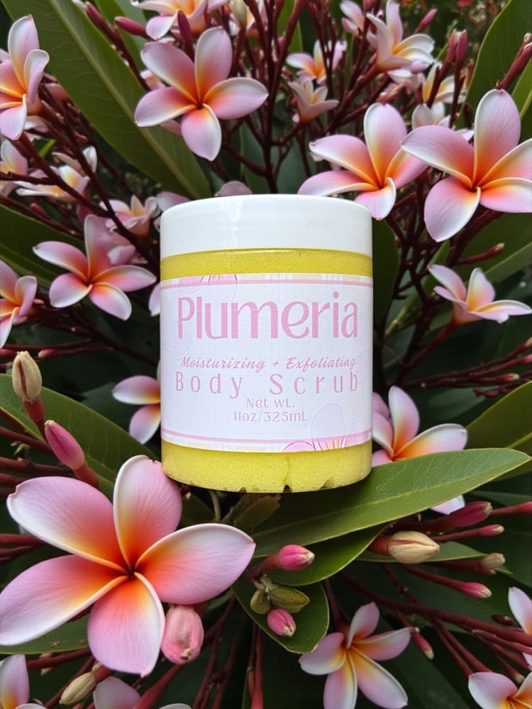 Image of Plumeria Body Scrub