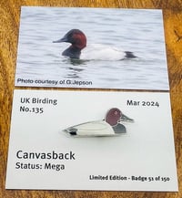 Image 1 of Canvasback - No.135 - UK Birding Series