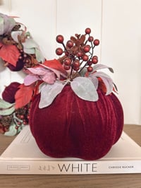 Damson Pumpkin & foliage