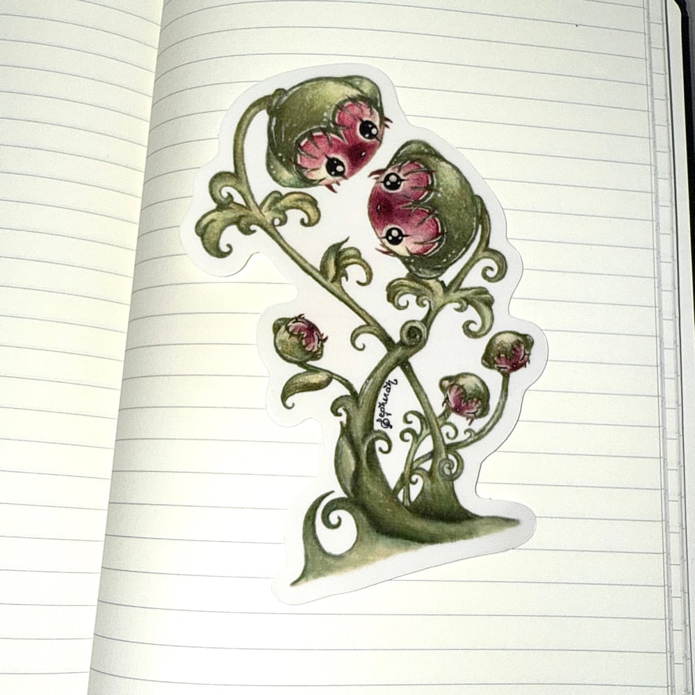 Image of Monkey Fly Trap 2x3 transparent 