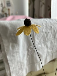 Image 2 of Black Eyed Susan