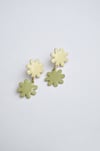 flores petit 