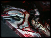 Image 5 of CriMsoN III 8X16"