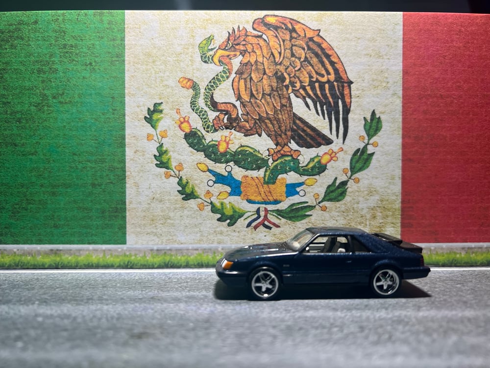 MEXICO FLAG WALL