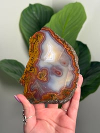 Image 1 of XL RED MOROCCAN AGATE A
