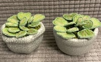 Image 1 of Little plant pots 