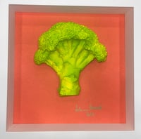 Fresh as daisy broccoli 