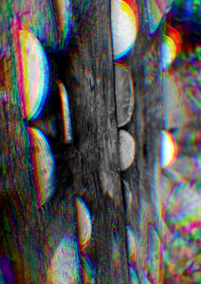 Grimoire Silvanus Zine Issue 5