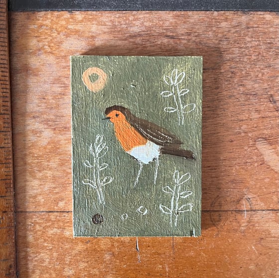 Image of Robin and sprouting broad beans 