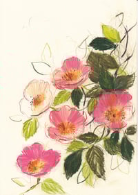wild rose II