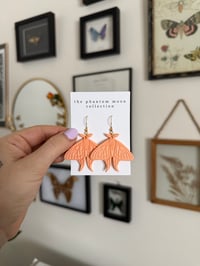 Image 2 of Spring Moth