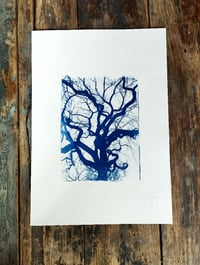 Image 1 of Cyanotype "Hiver"