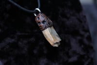 Image 2 of Dead good stained sheep tooth necklace large
