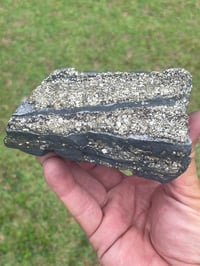 Image 11 of Shungite Specimen With Cubic Pyrite #606
