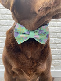 Image 5 of Palms and Shells Bow Tie / Sailor Bow