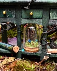 Image 5 of Green Shelf (Medium)