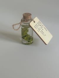 Image 3 of Paint Artefact from Studio - Cadmium Green