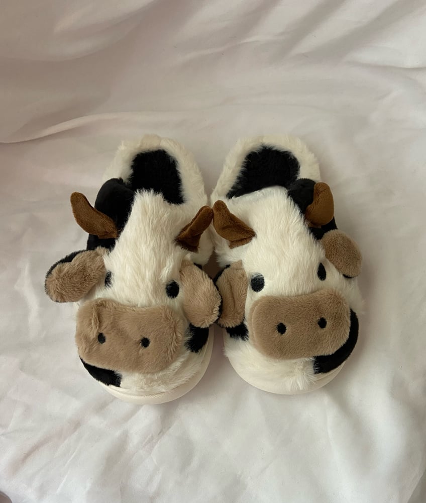 Image of Cow Slippers 🐮