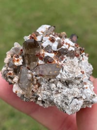 Image 9 of Smoky Quartz & Garnets On Feldspar Specimen #1907